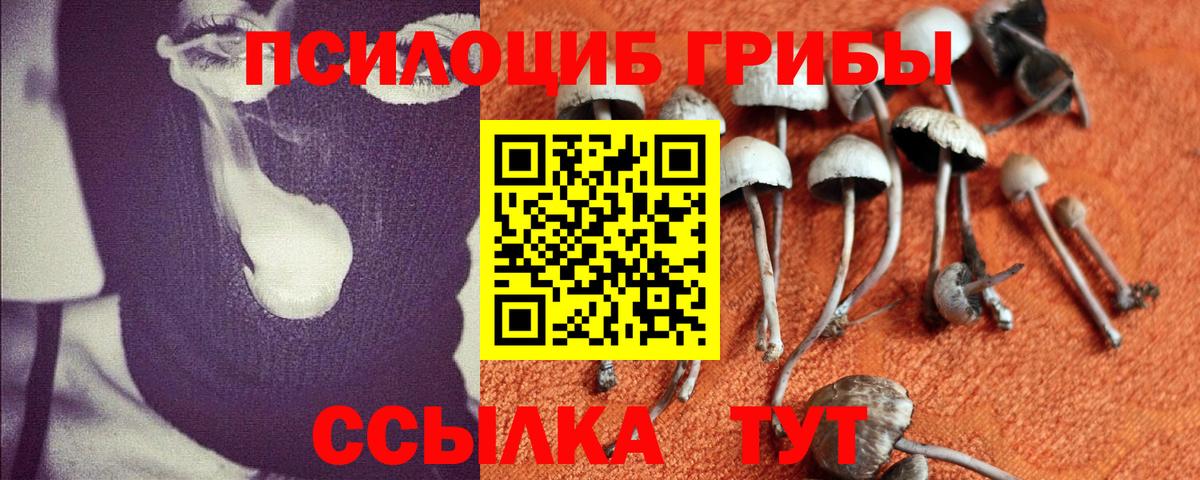 Галлюциногенные грибы Magic Shrooms  Вход с VPN  Зерноград 